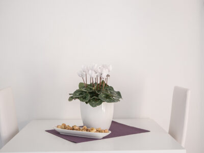 villa-matija-segetdonji-trogir-studio-5